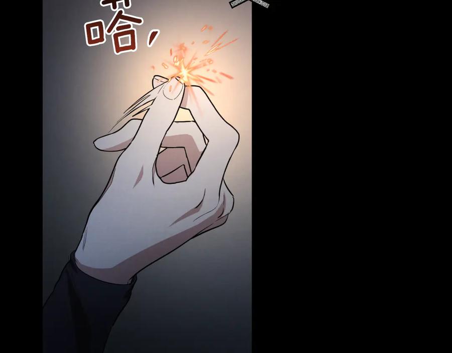 第204页