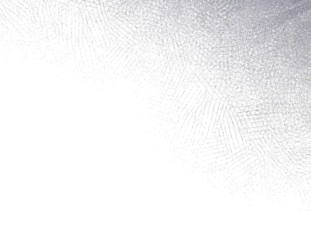 第369页