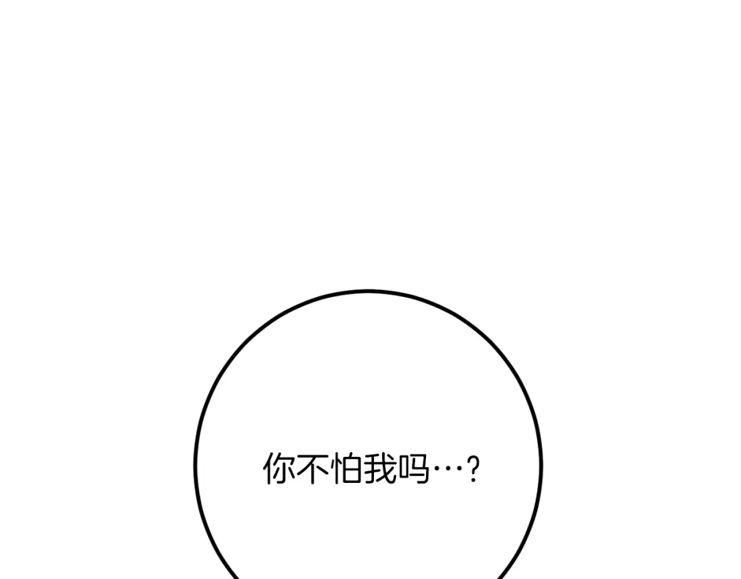 第531页