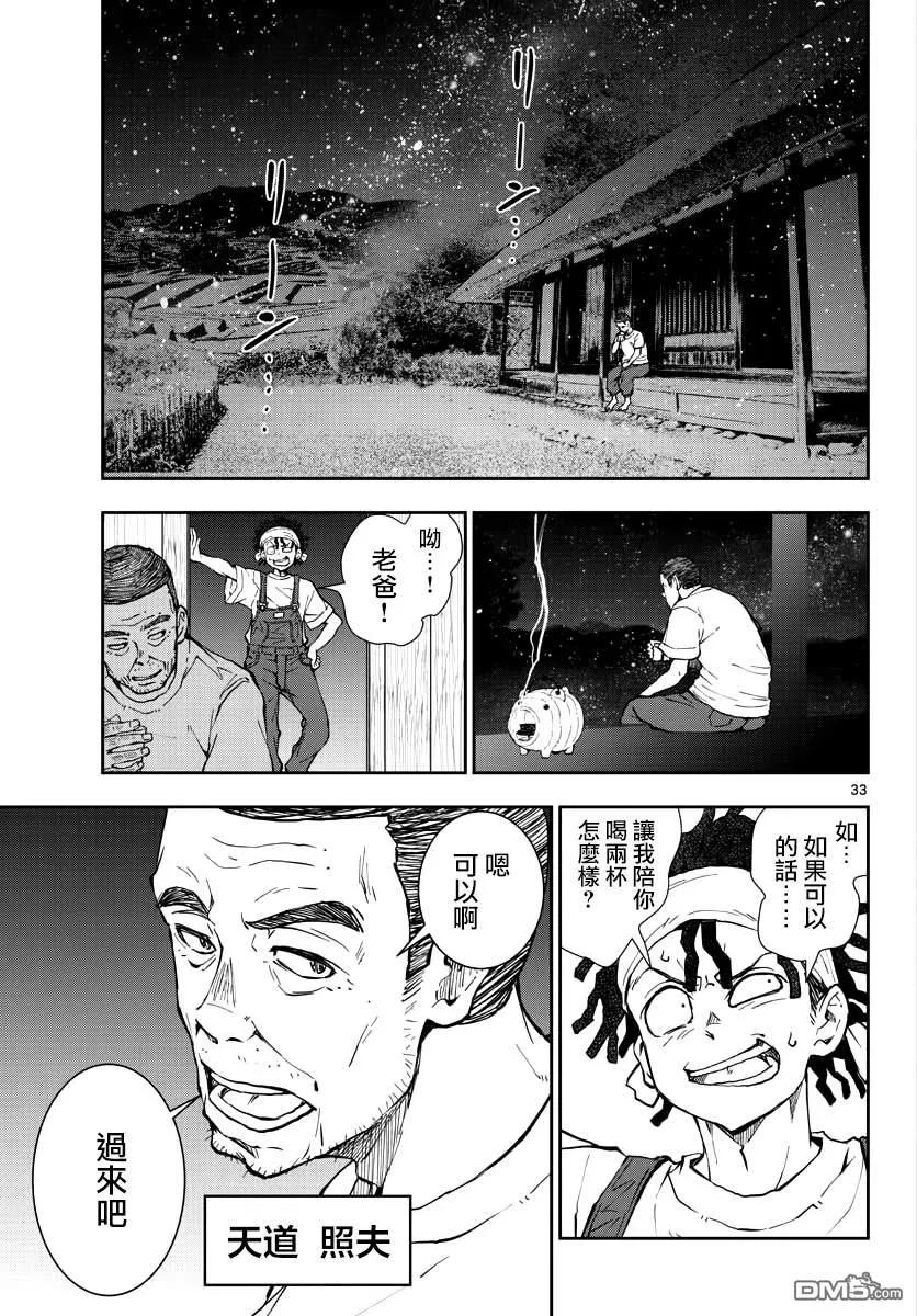 第33页