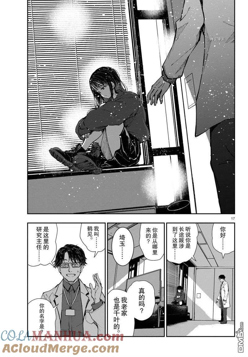 第17页