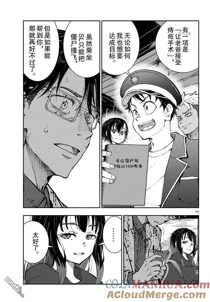 第43页