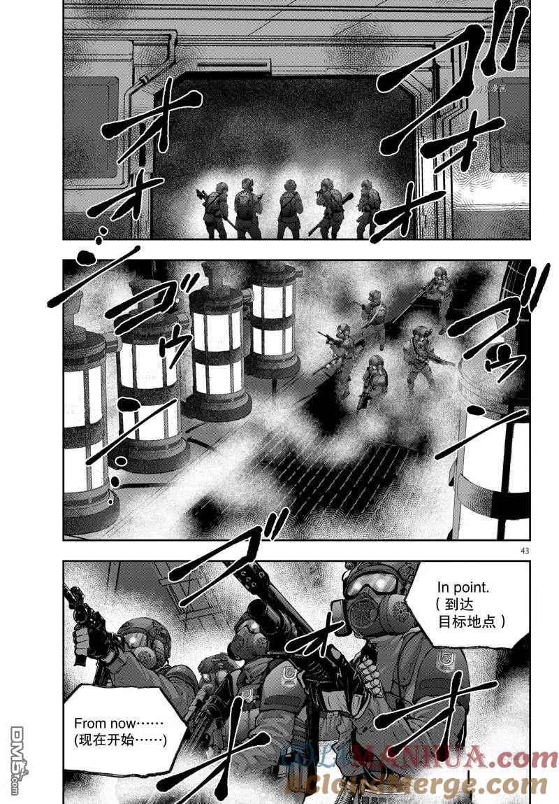 第43页