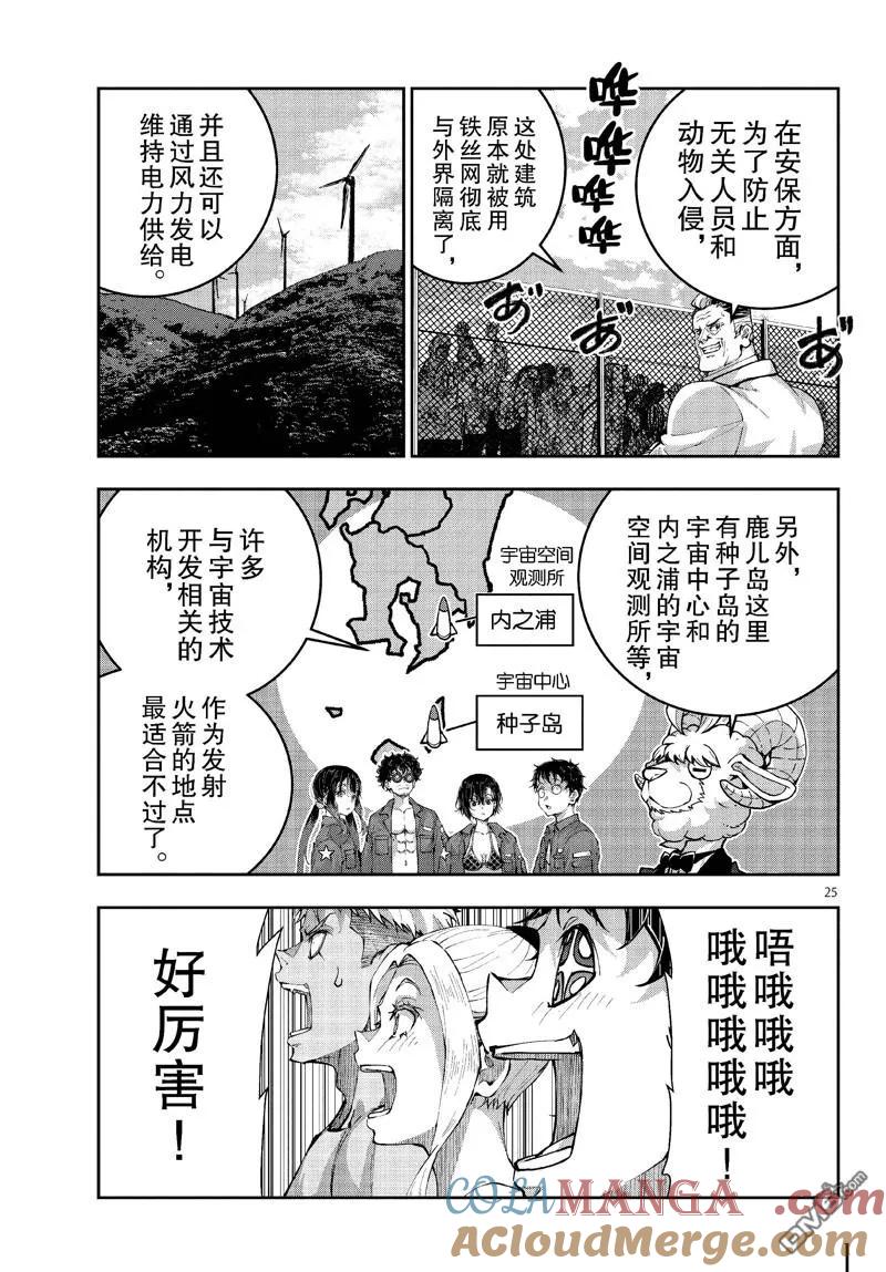 第25页