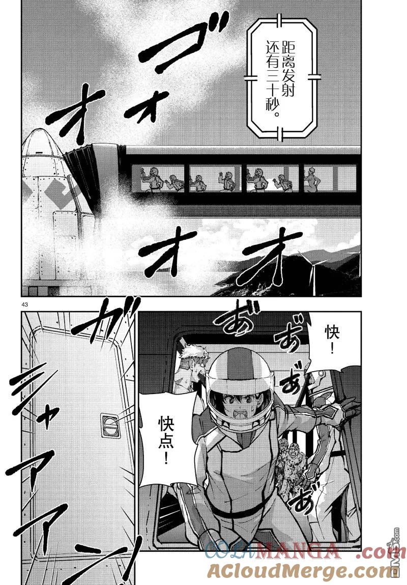 第43页