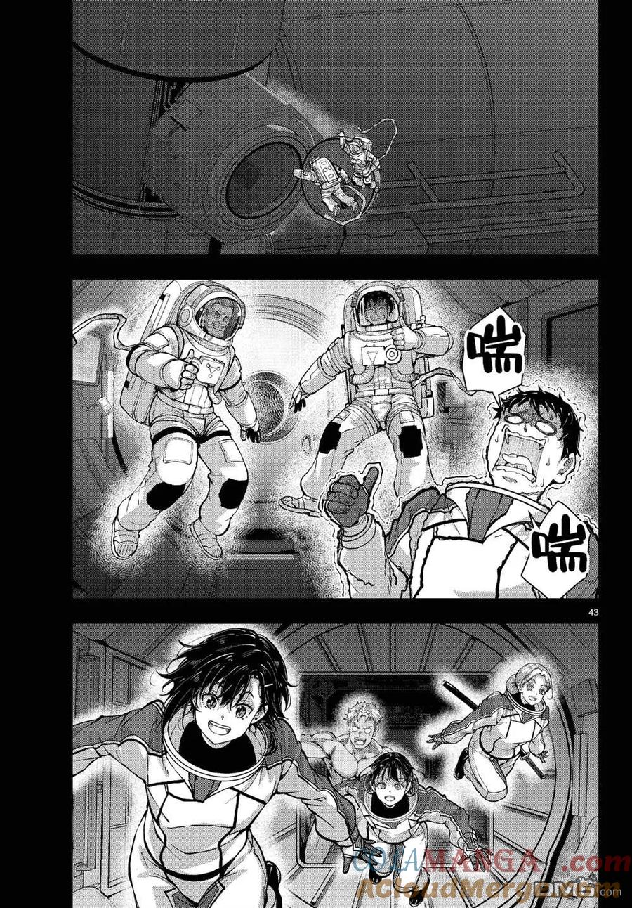 第43页