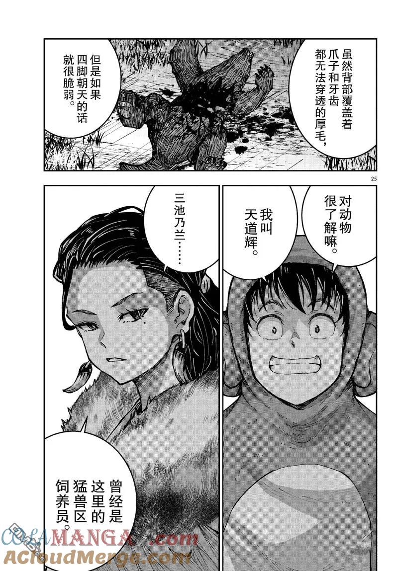 第25页