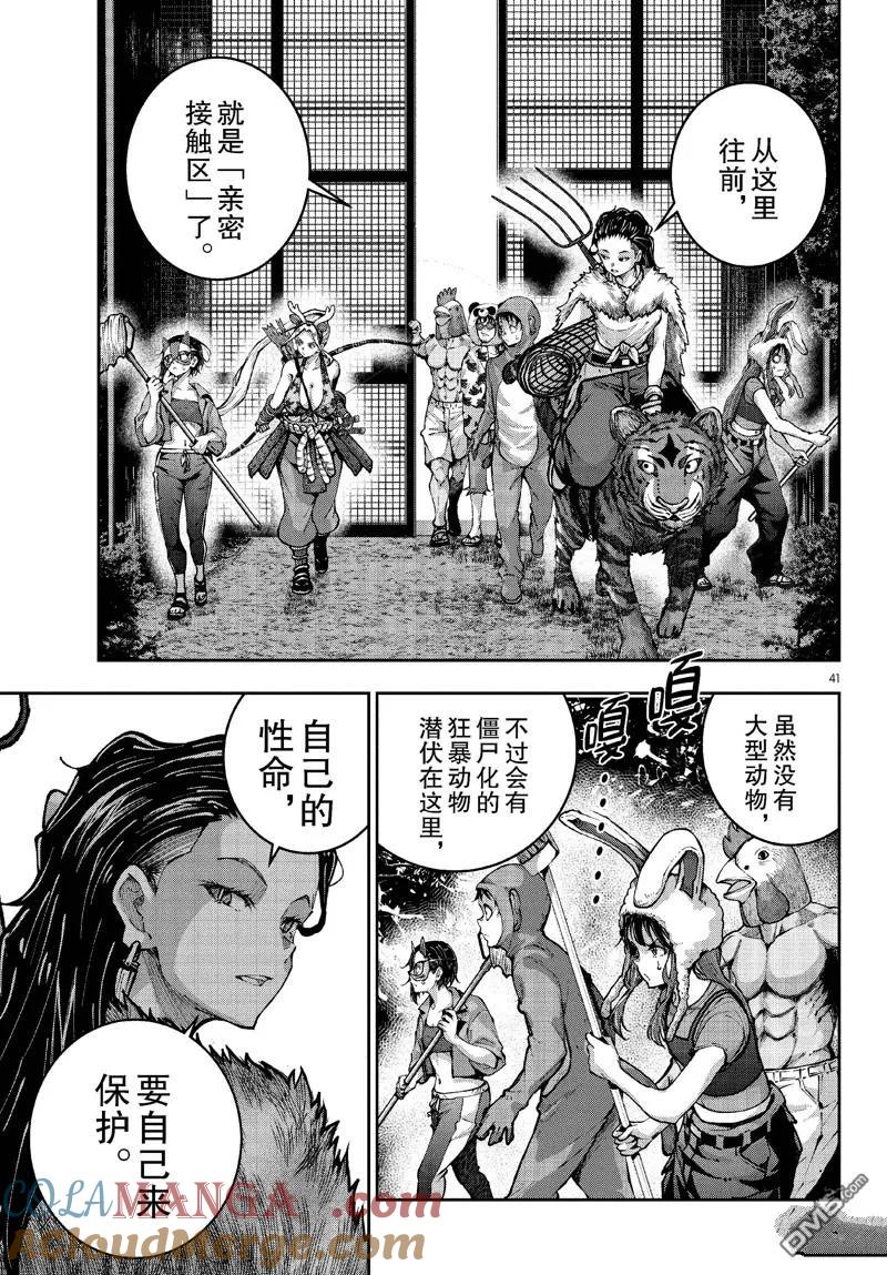 第41页