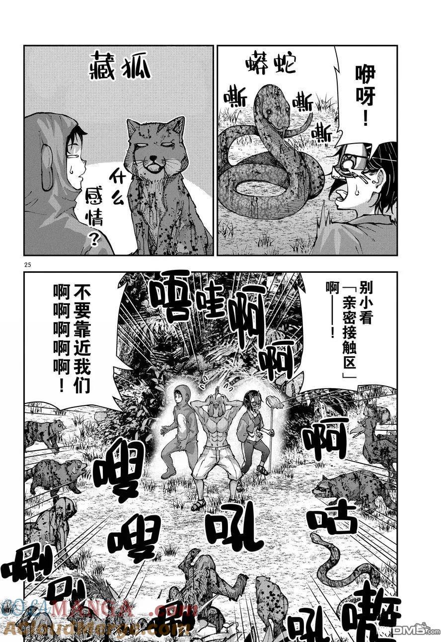 第25页