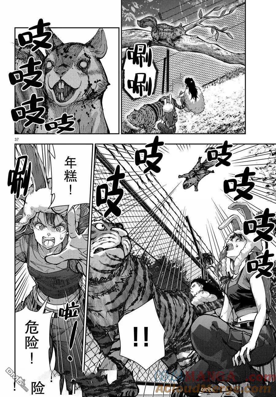 第37页