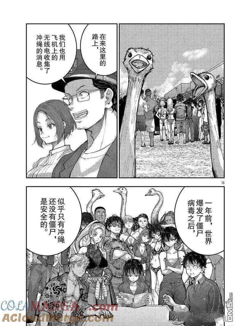 第13页