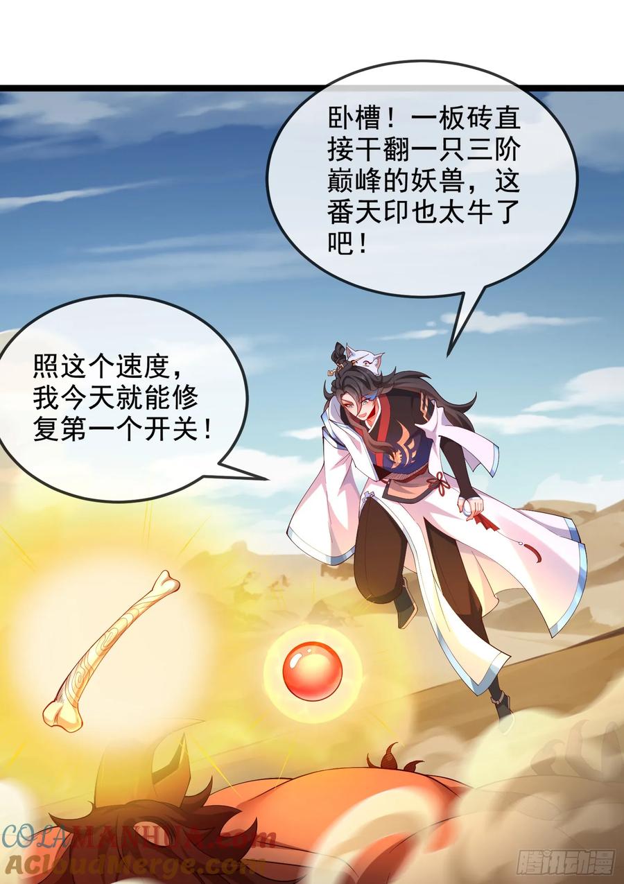 第55页
