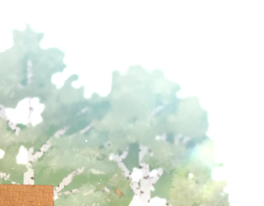第223页