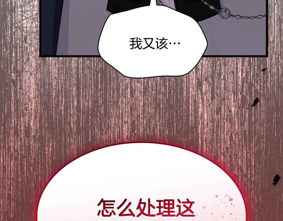 第219页