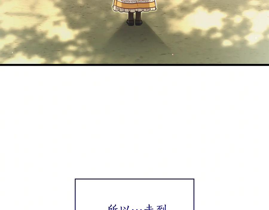 第242页