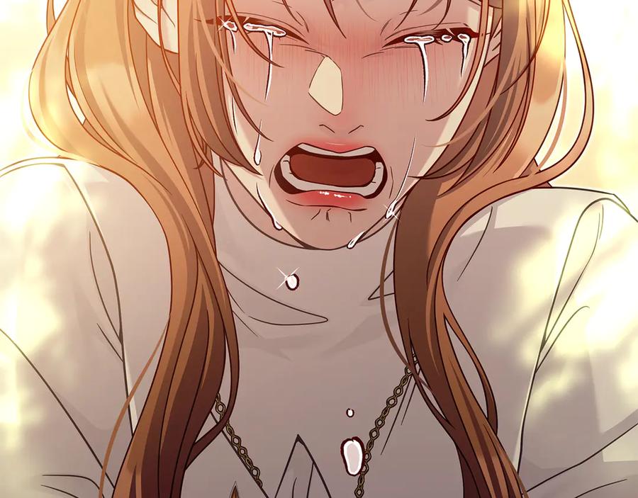 第247页