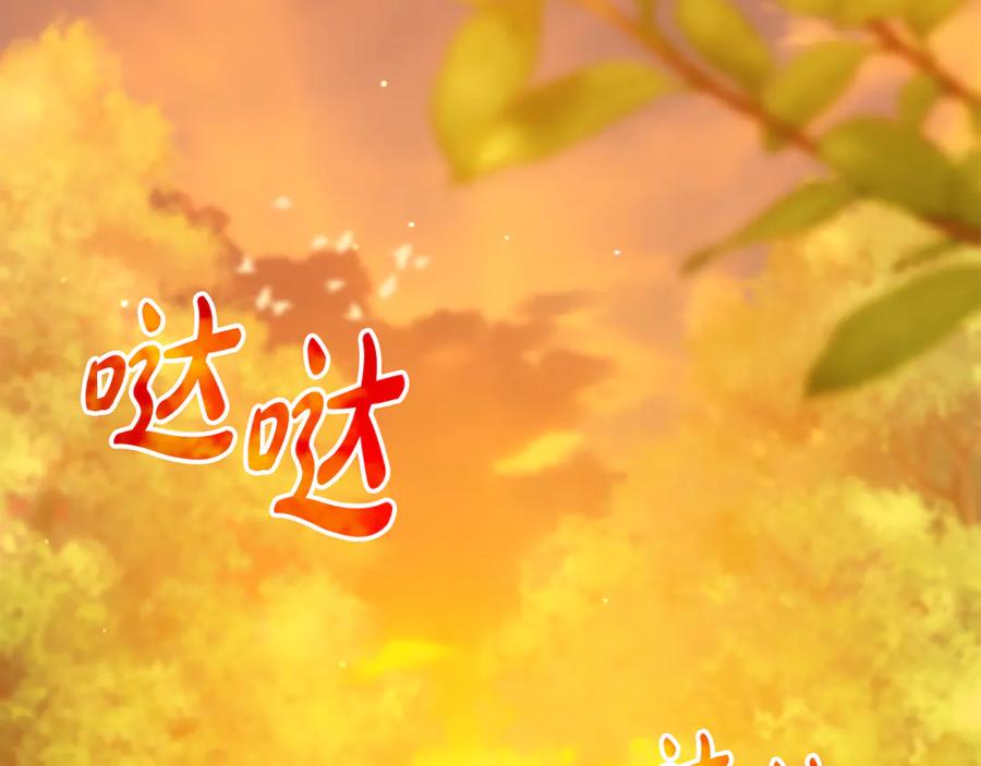 第214页