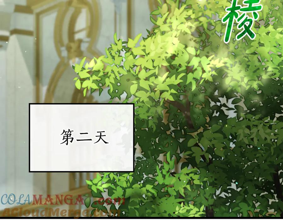 第221页