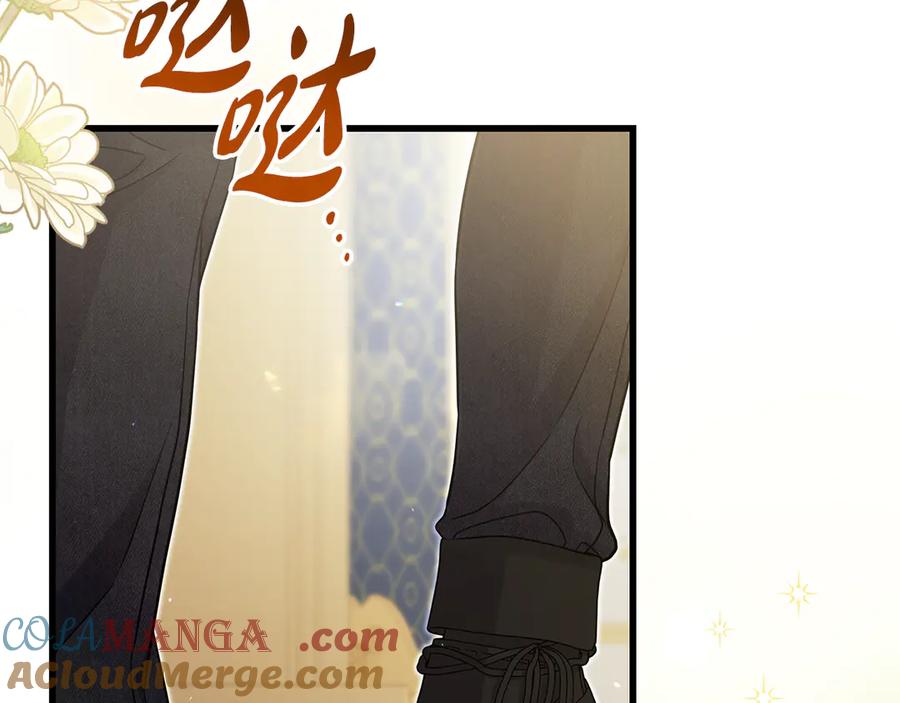 第217页
