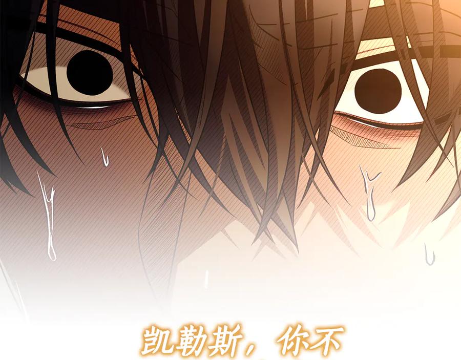 第239页