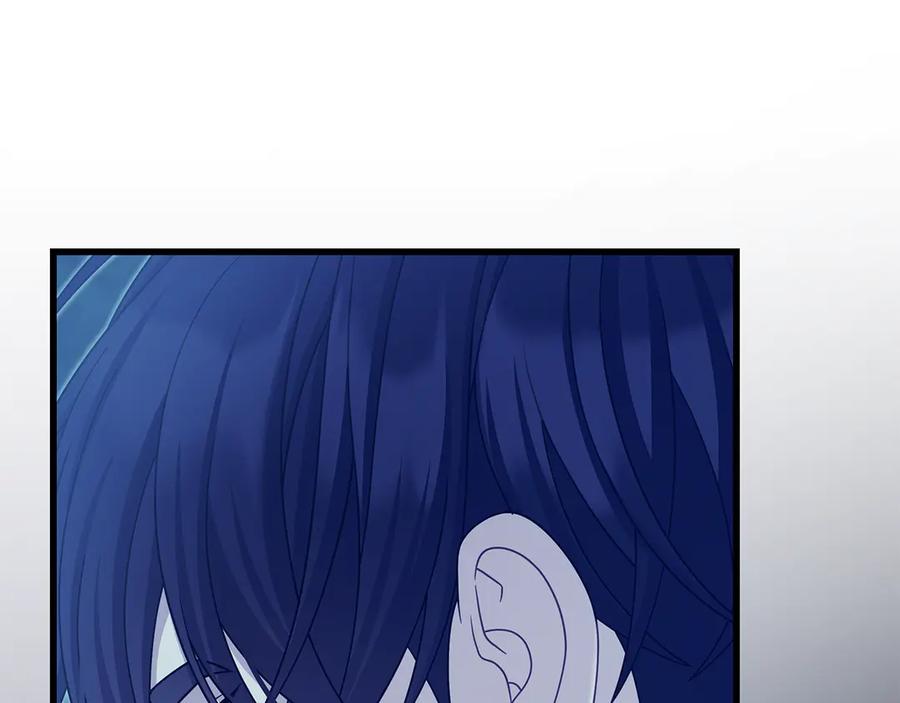 第215页