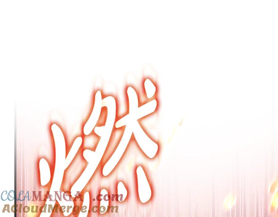 第217页