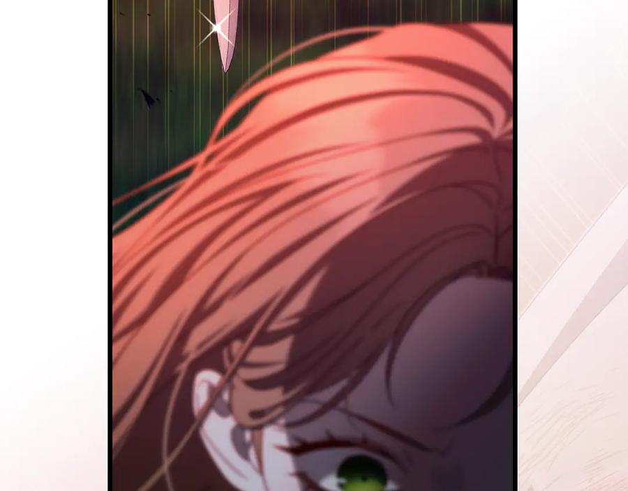 第223页