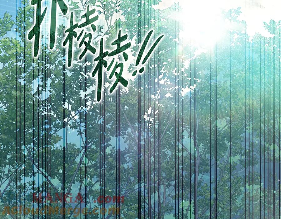第217页