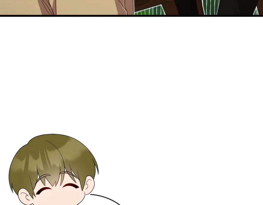 第223页