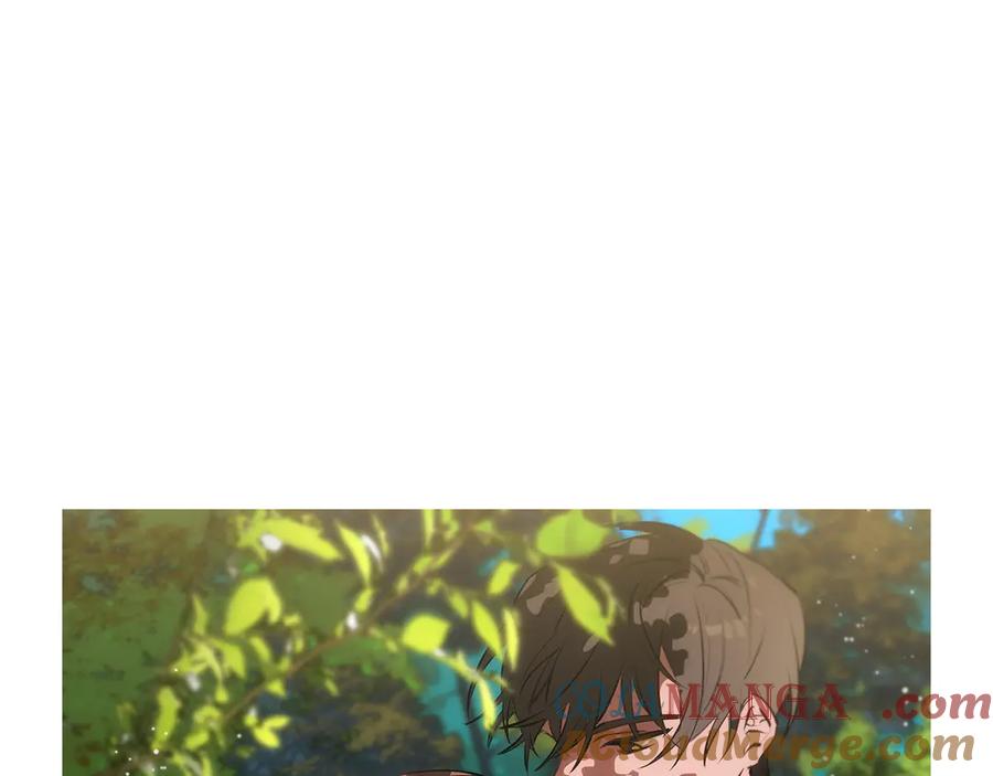 第253页