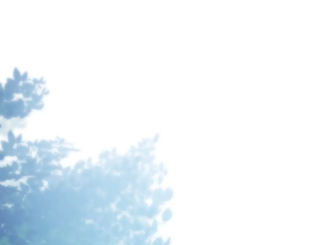 第236页