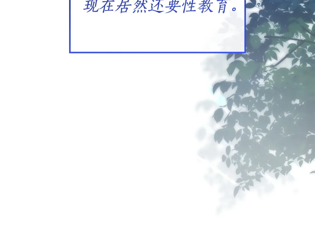 第241页