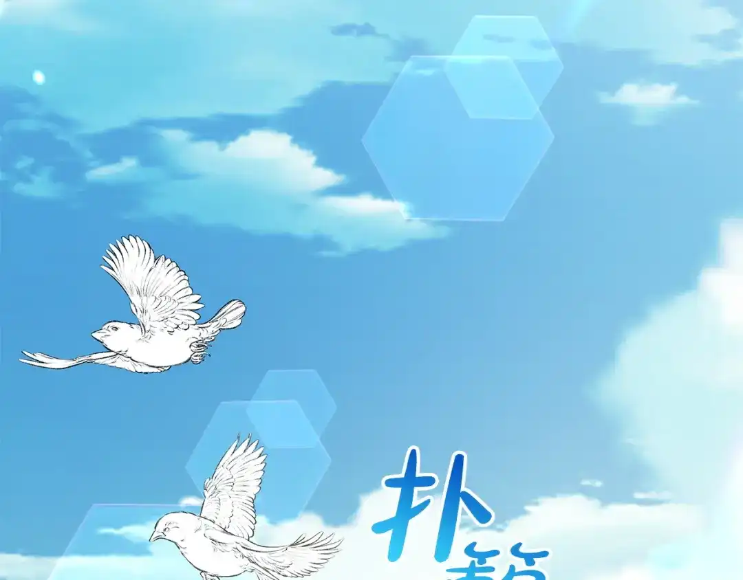 第244页