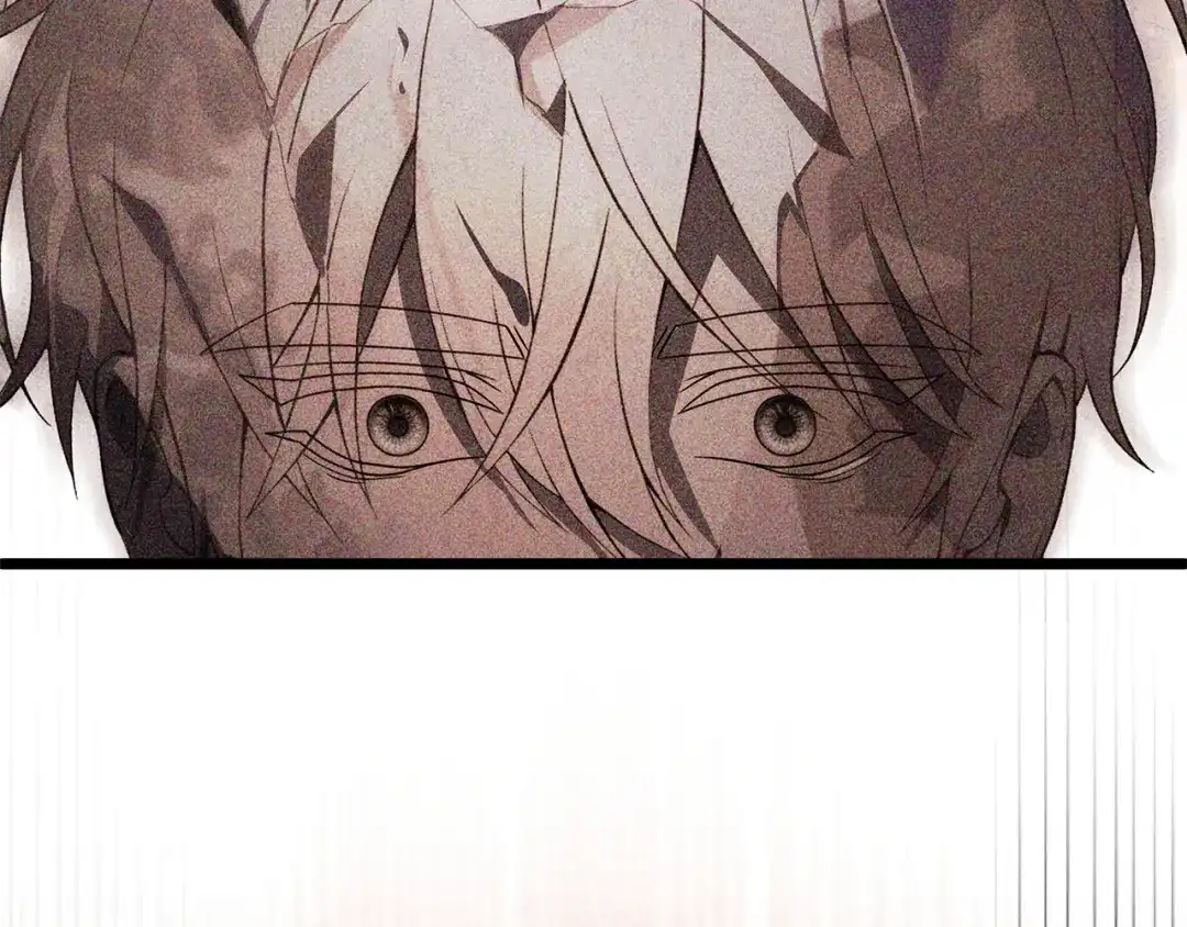 第245页