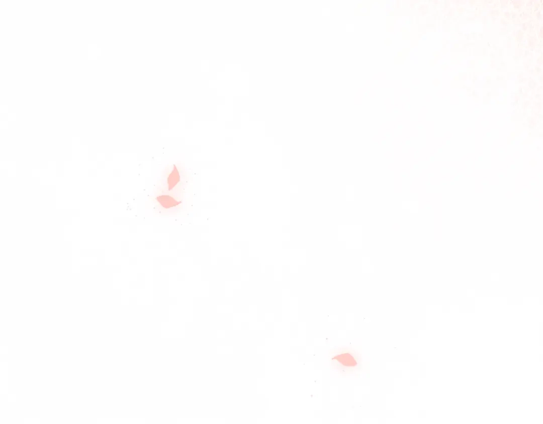 第217页