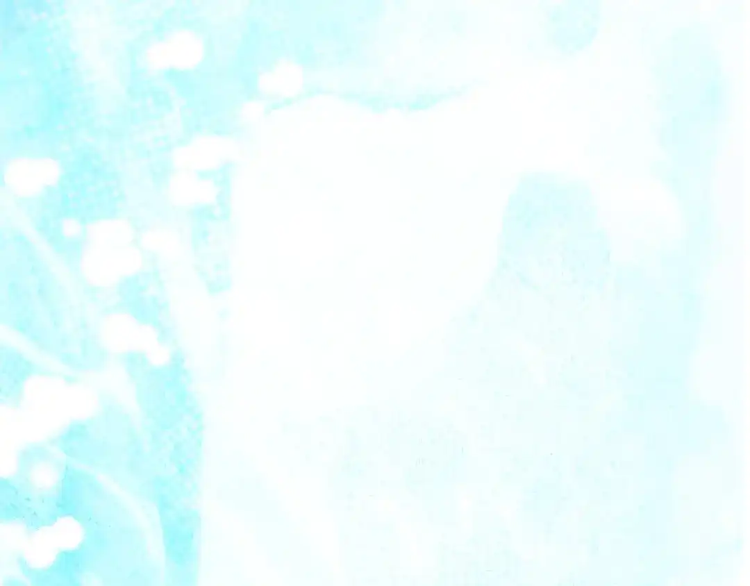 第212页