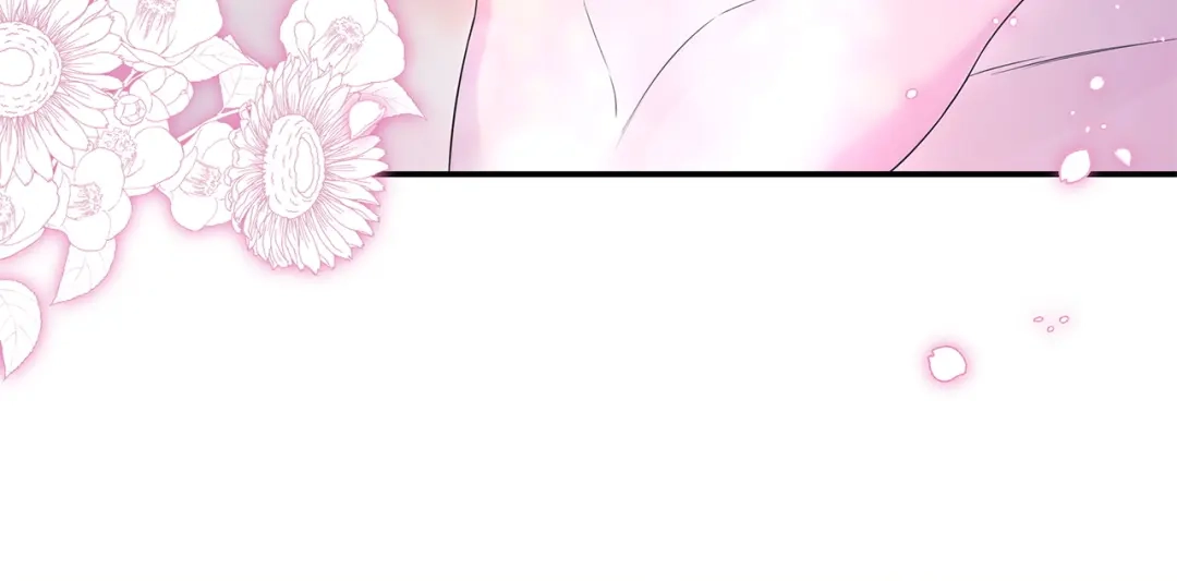 第223页