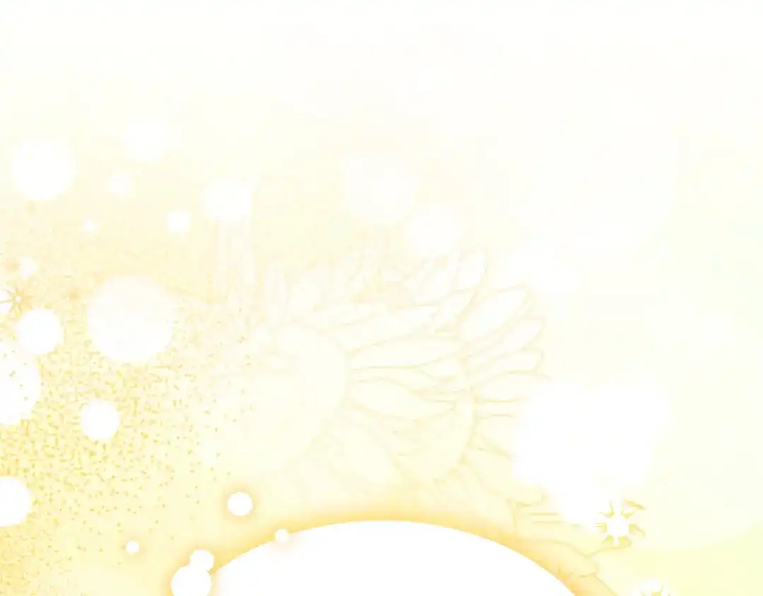 第224页