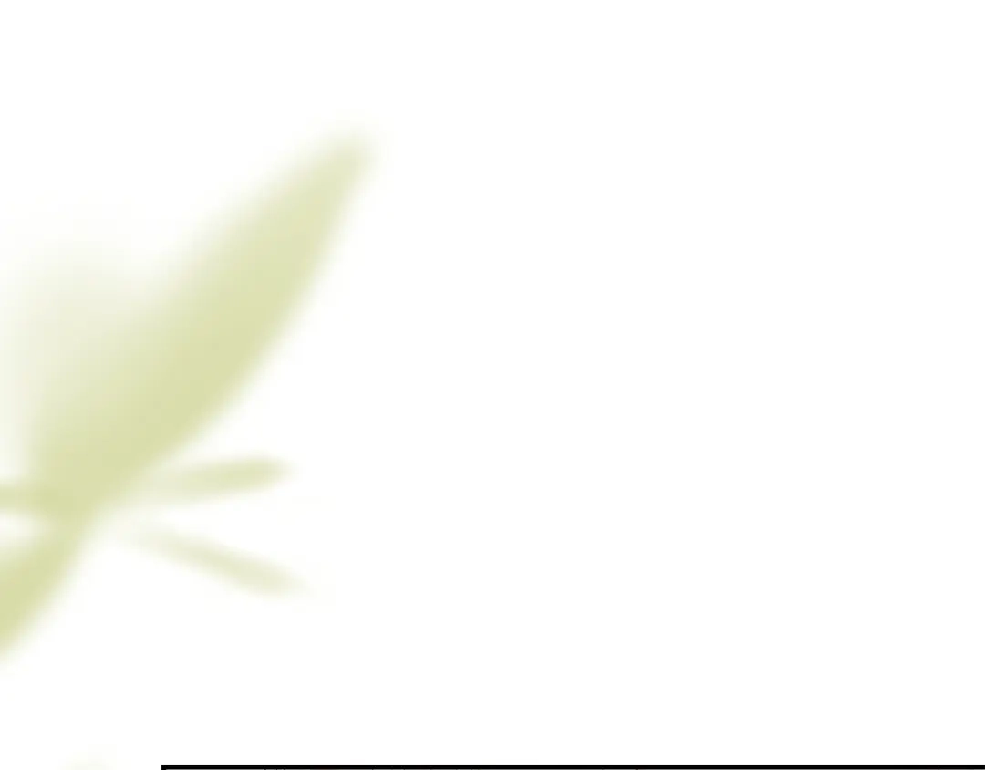 第254页