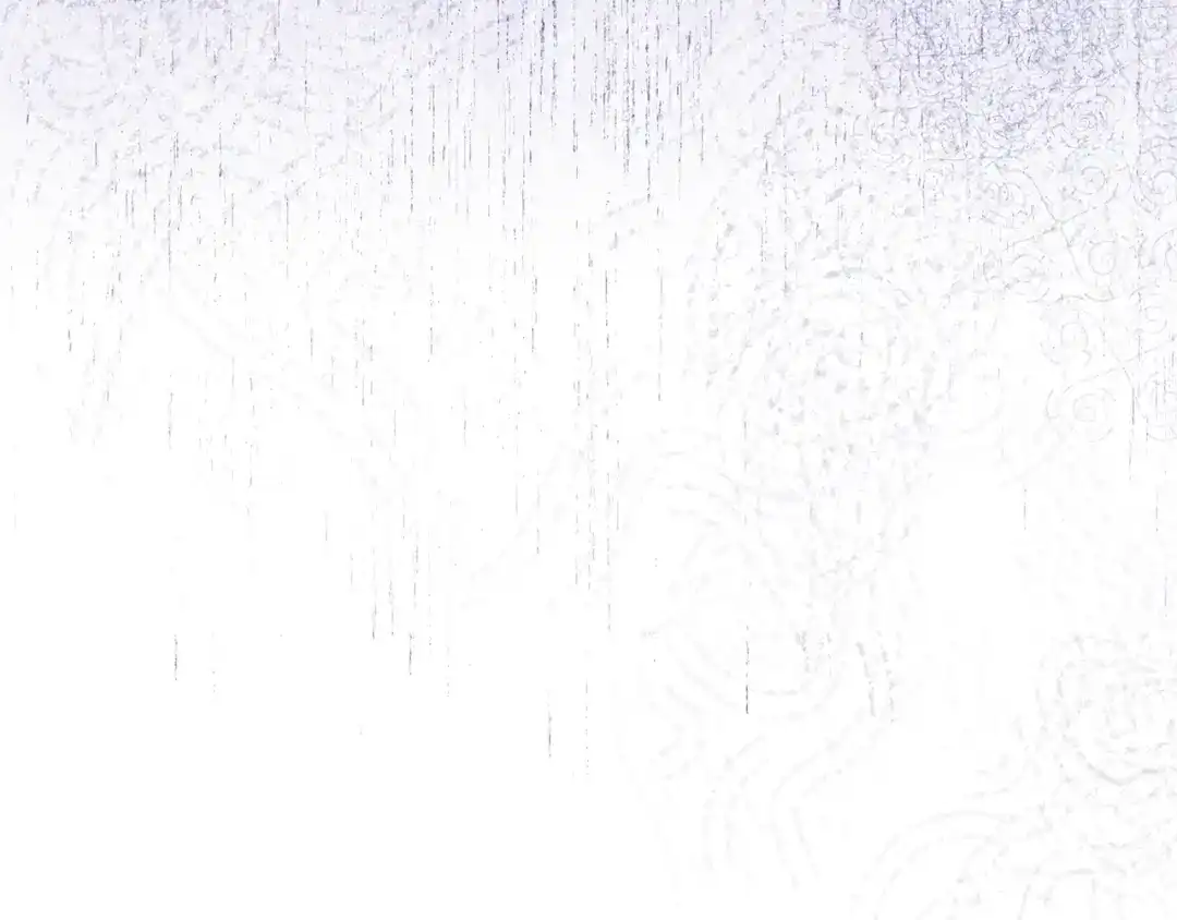 第206页