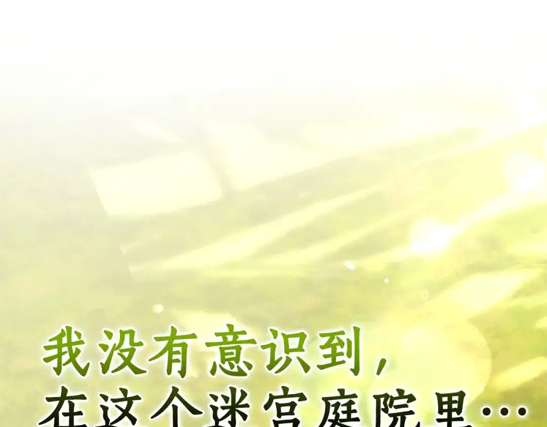 第253页