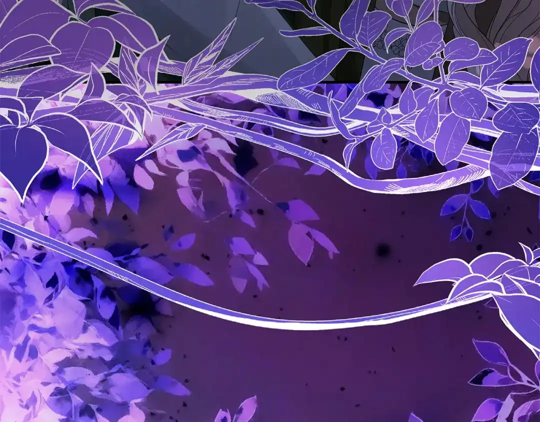 第260页