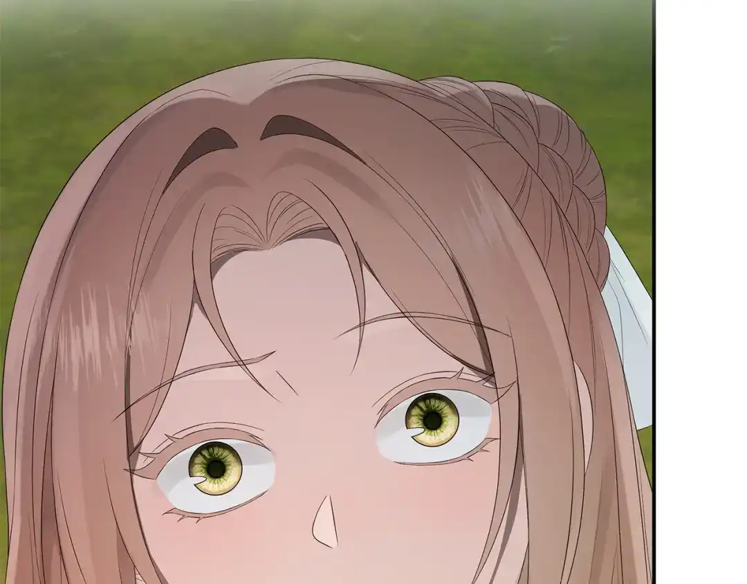 第234页