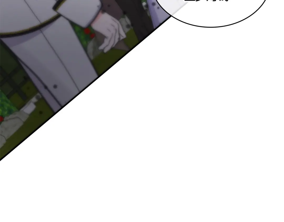第242页