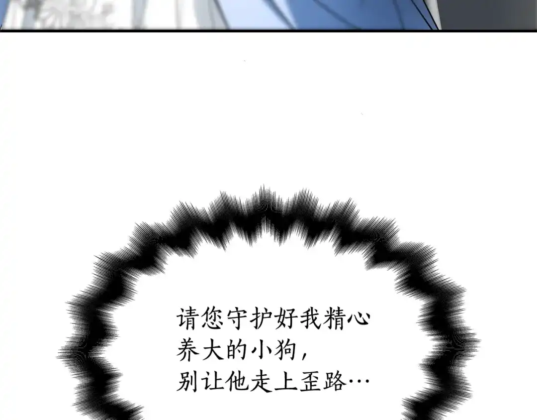 第217页