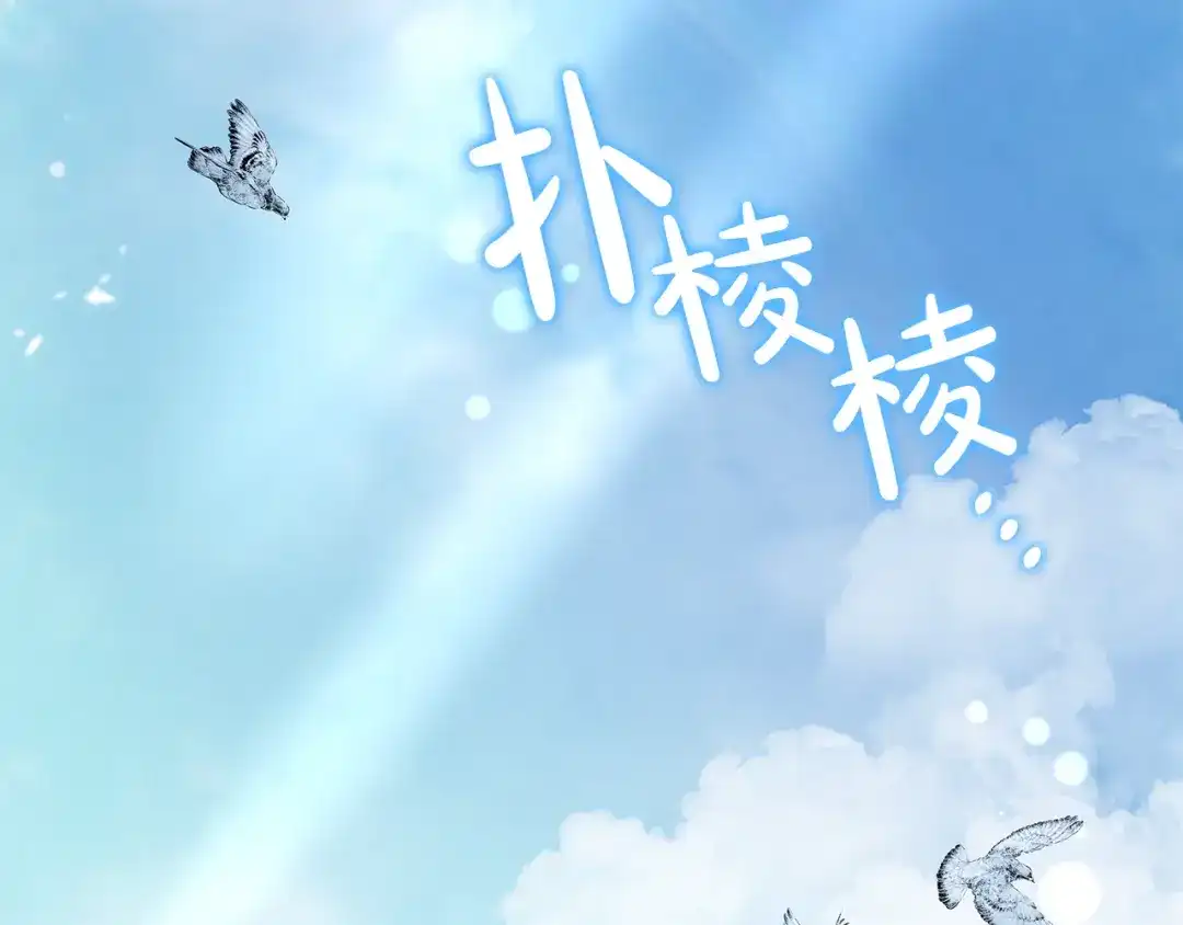 第223页