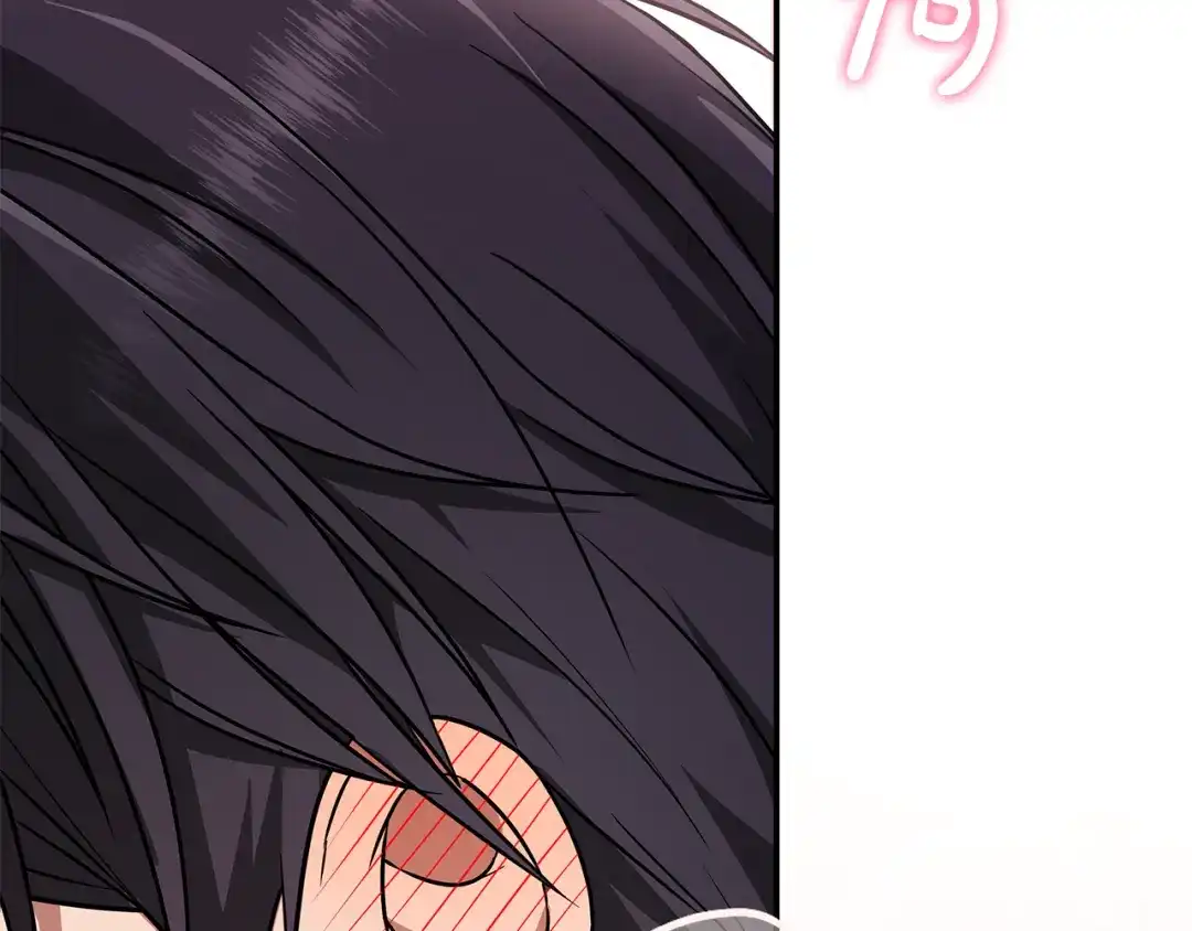 第255页