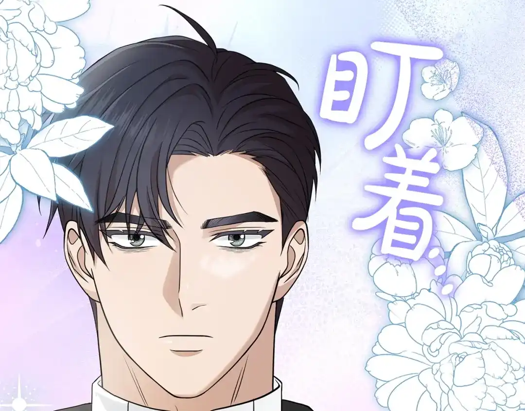 第256页