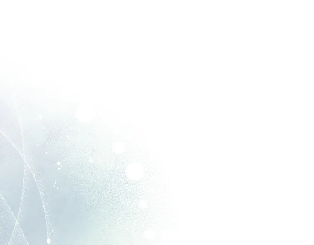 第238页