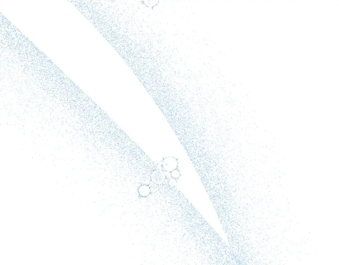 第284页